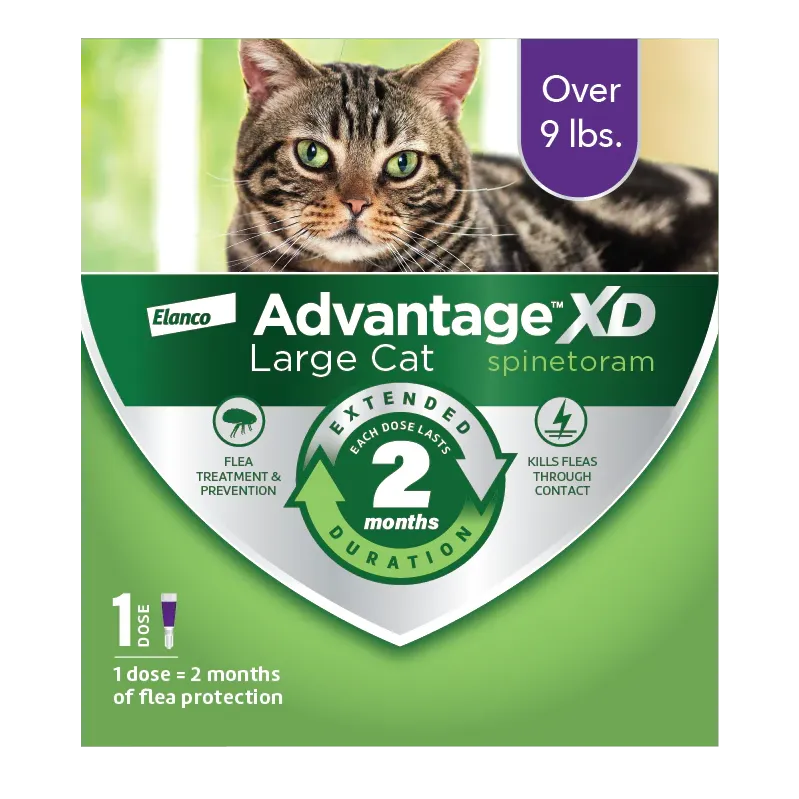 Advantage XD Topical Flea Protection for Large Cats, 1 Pk