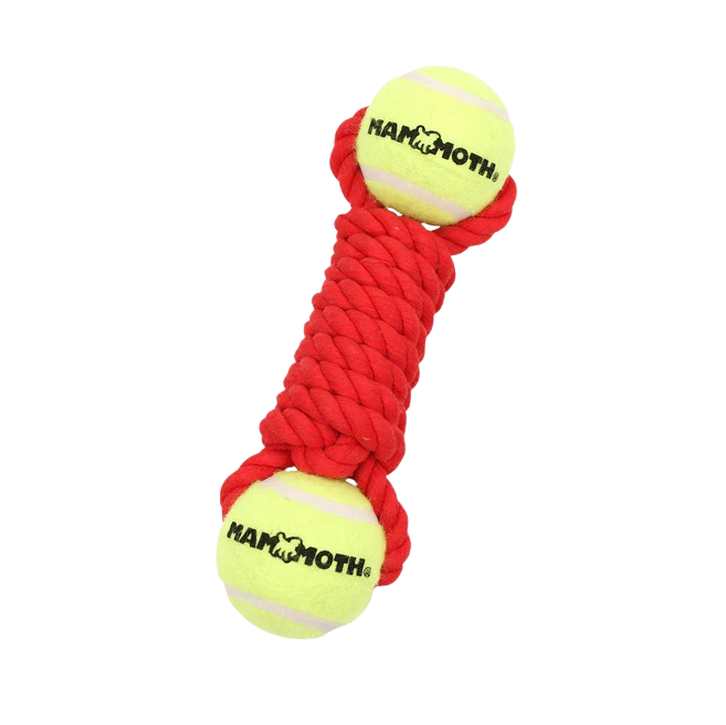 Mammoth Pet Medium 9-in Twister Bone with 2 Tennis Balls Dog Toy