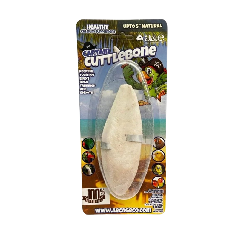 A&E Cage Company 6" Natural Cuttlebone for Birds