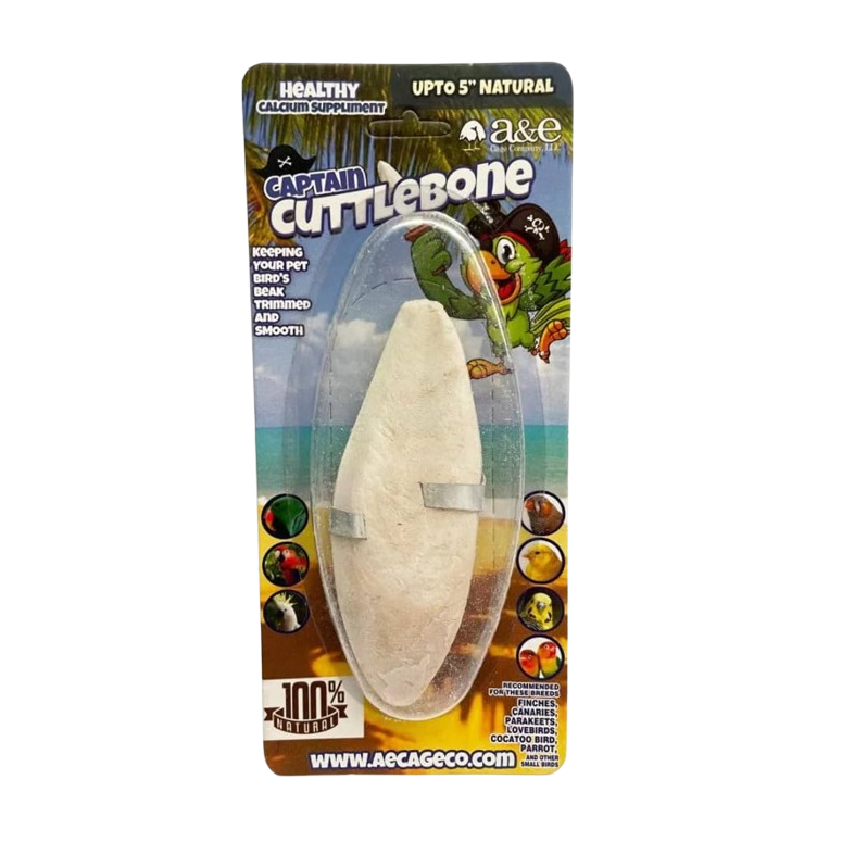 A&E Cage Company 6" Flavored Cuttlebone for Birds