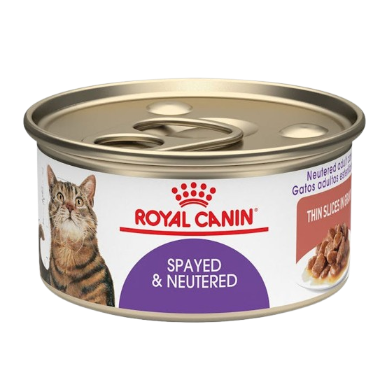 Royal Canin Feline Health Nutrition Spayed or Neutered Thin Slices in Gravy Canned Cat Food