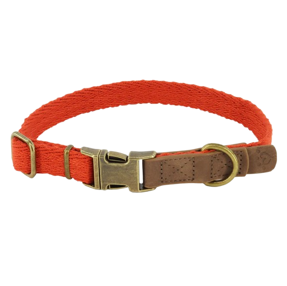 MuttNation Fueled by Miranda Lambert Woven Dog Collar Rust 3/4 X 12-18