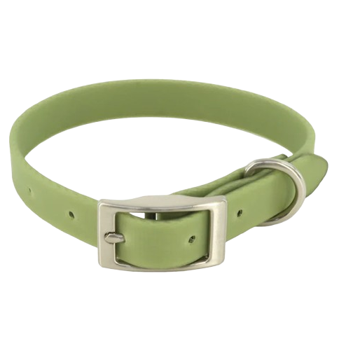 MuttNation Fueled by Miranda Lambert Waterproof Dog Collar Sage 1 X 19-24