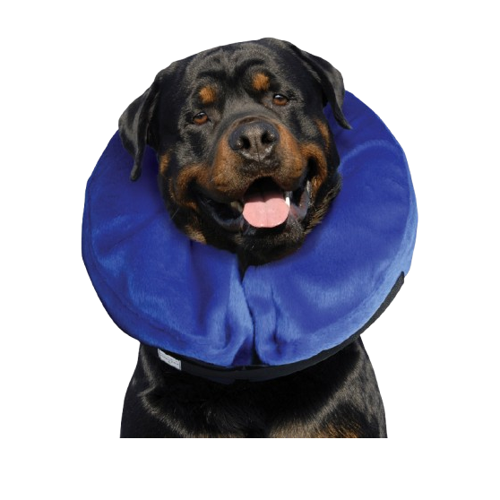 KONG Cloud Collar For Dogs