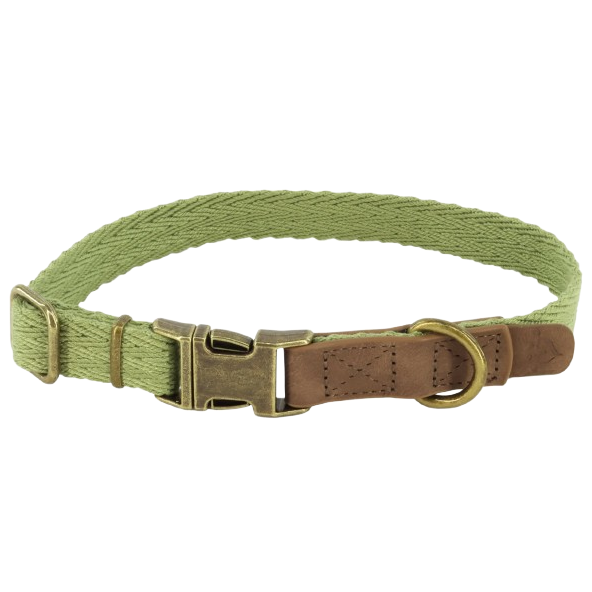 MuttNation Fueled by Miranda Lambert Woven Dog Collar Sage 3/4 X 12-18