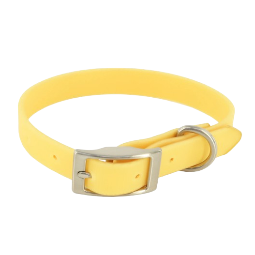 MuttNation Fueled by Miranda Lambert Waterproof Dog Collar Goldenrod 1 X 19-24