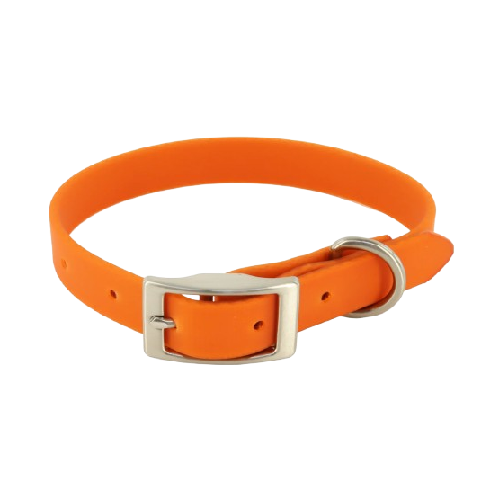 MuttNation Fueled by Miranda Lambert Waterproof Dog Collar Pumpkin 1 X 19-24