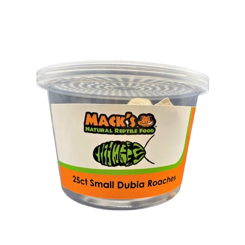 Mack's Natural Reptile Food Live Dubia Roaches