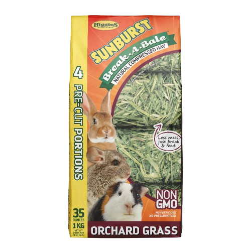 Higgins Sunburst Break-A-Bale Orchard Grass