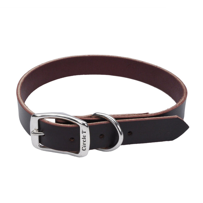 Circle T® Latigo Leather Town Dog Collar, Large