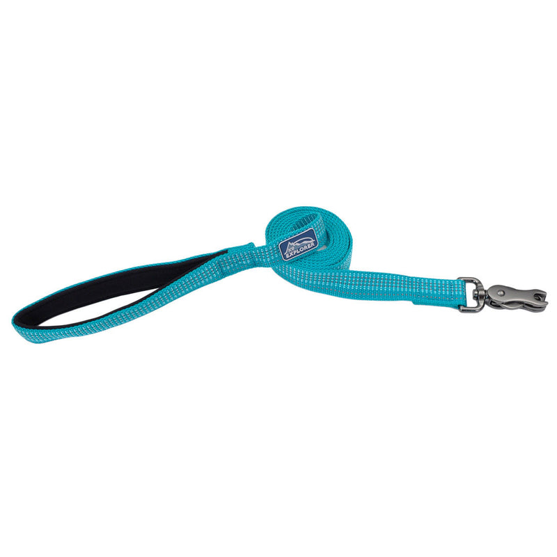 K9 Explorer® Brights Reflective Dog Leash, Teal 1" x 6'