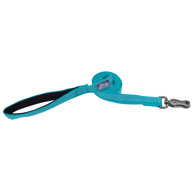 K9 Explorer® Brights Reflective Dog Leash, Teal 5/8" x 6'